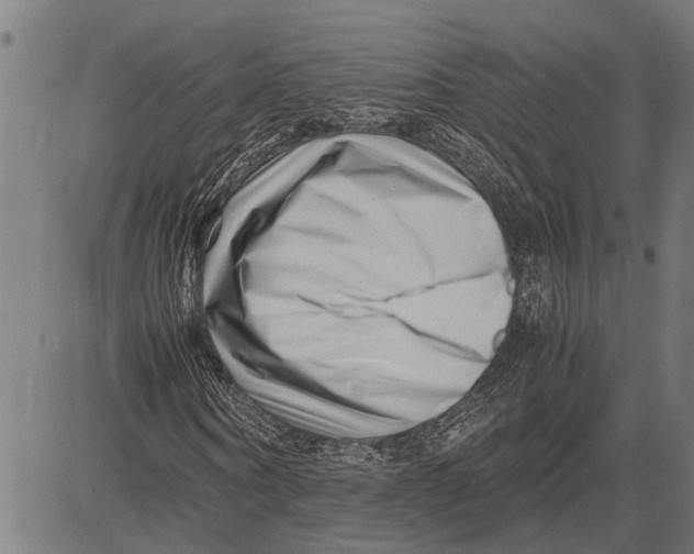 X0000081450866200702021740