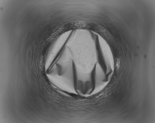 X0000081450867200702021740