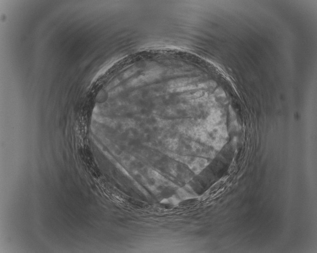 X0000081450871200702021740