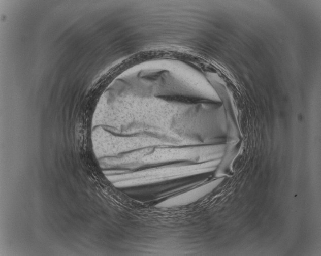 X0000081450872200702021740