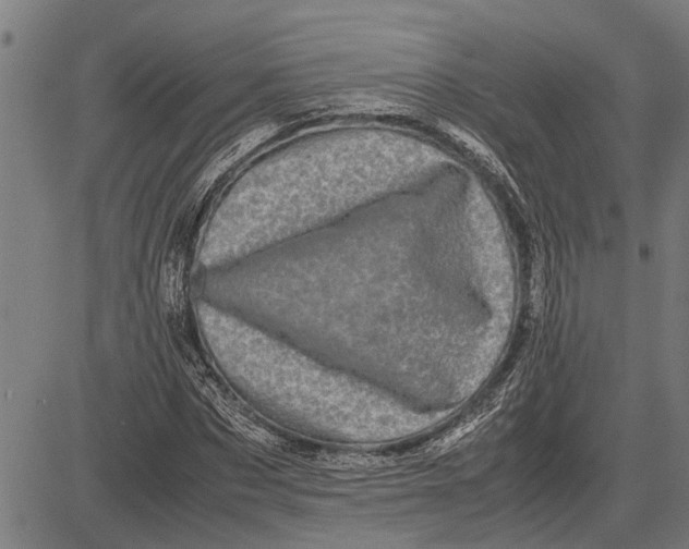 X0000081450873200702021740