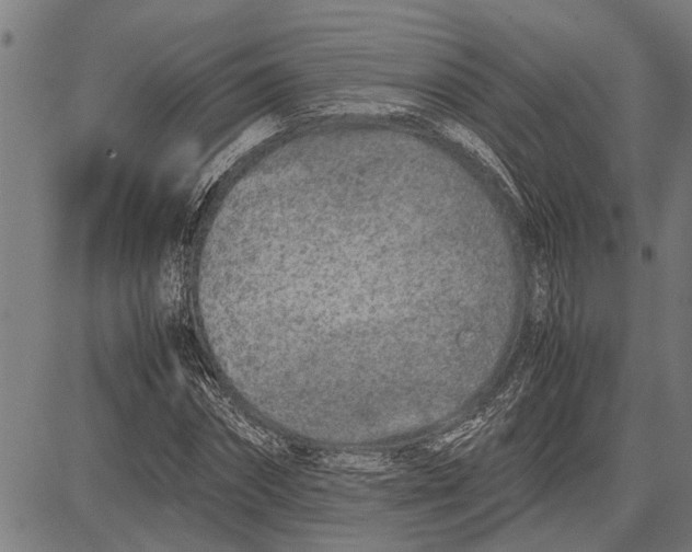 X0000081450874200702021740