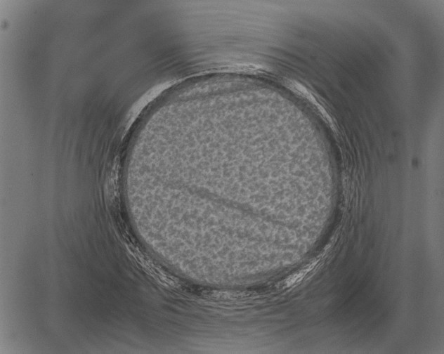 X0000081450875200702021740