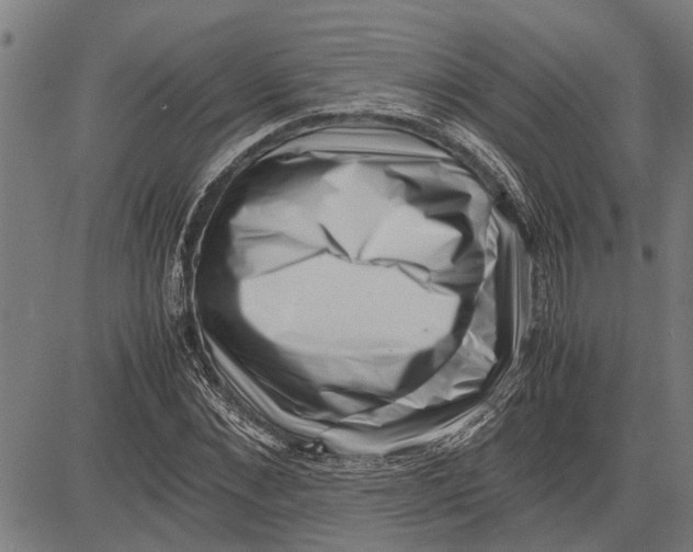 X0000081450876200702021740