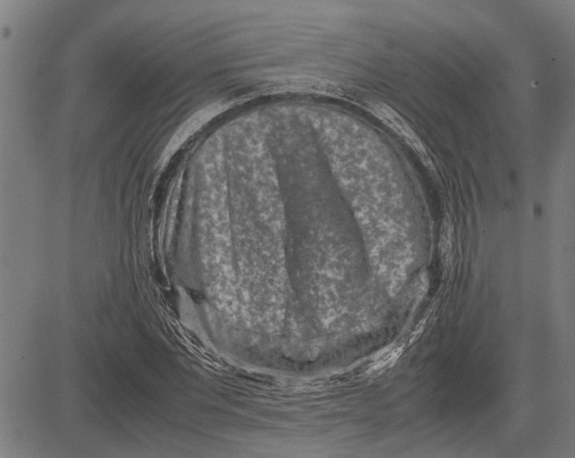 X0000081450877200702021740