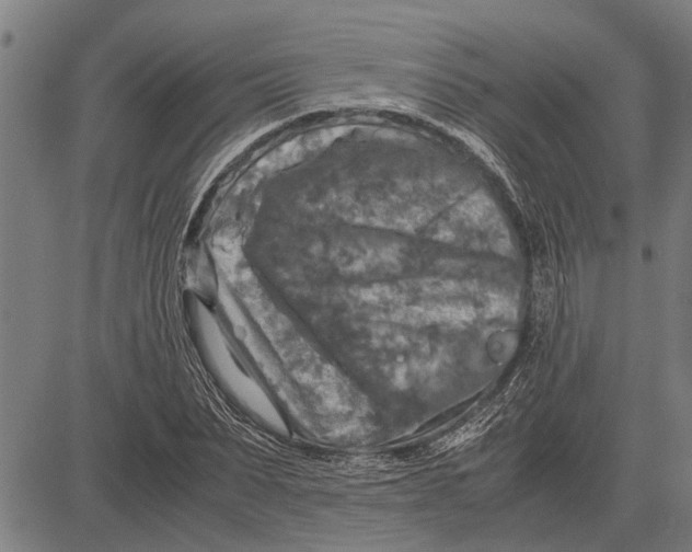 X0000081450879200702021739