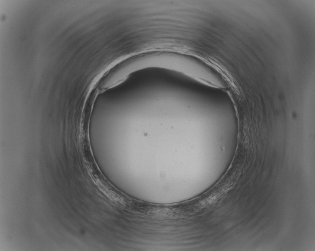 X0000081450880200702021739