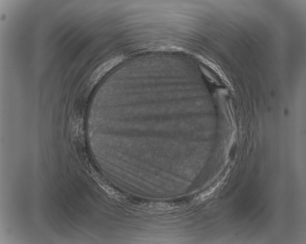 X0000081450881200702021739