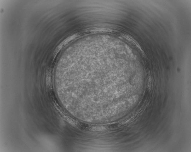 X0000081450882200702021739