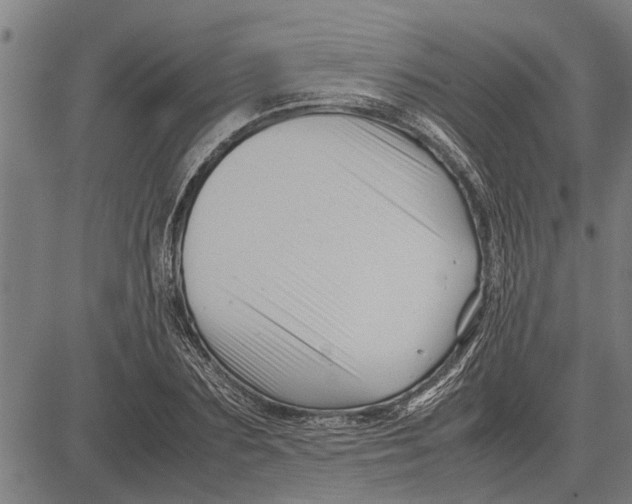 X0000081450883200702021739