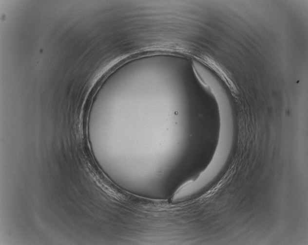 X0000081450884200702021739