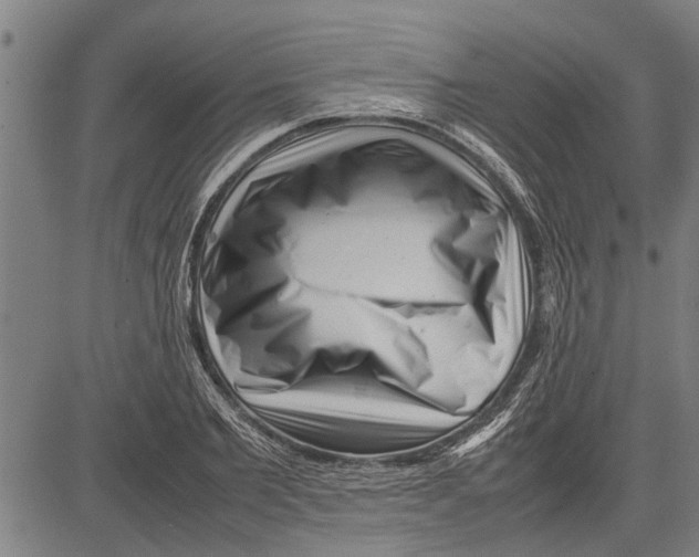 X0000081450885200702021739