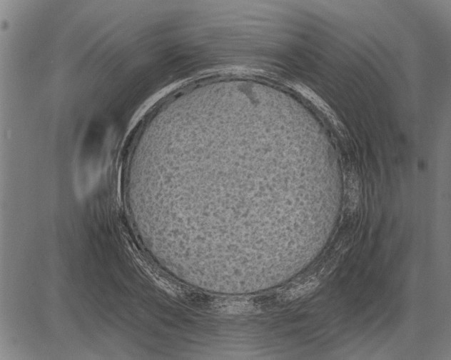 X0000081450886200702021739