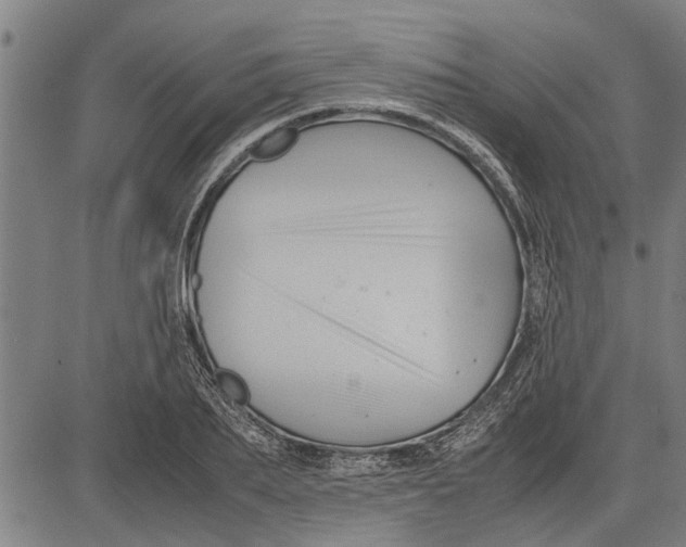 X0000081450887200702021739