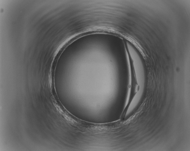 X0000081450888200702021739