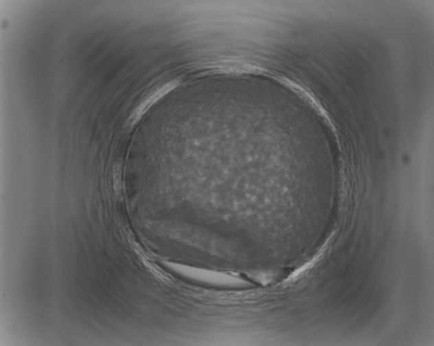 X0000081450889200702021739