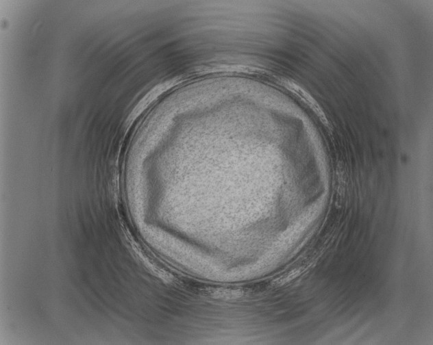 X0000081450890200702021739