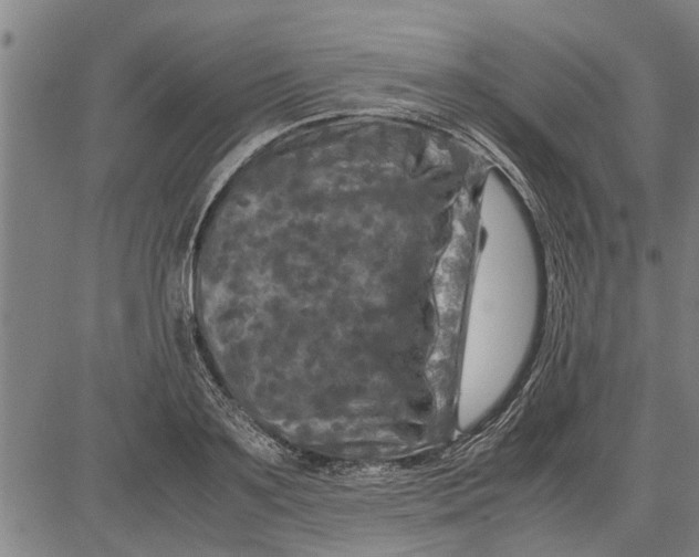 X0000081450891200702021739