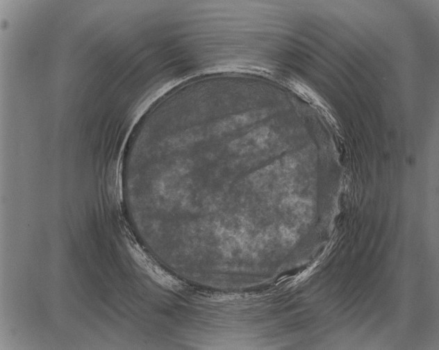 X0000081450892200702021739