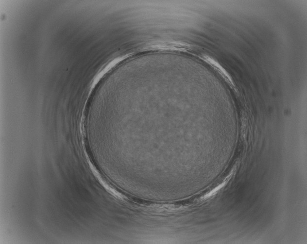 X0000081450893200702021739