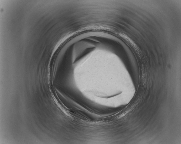 X0000081450894200702021739