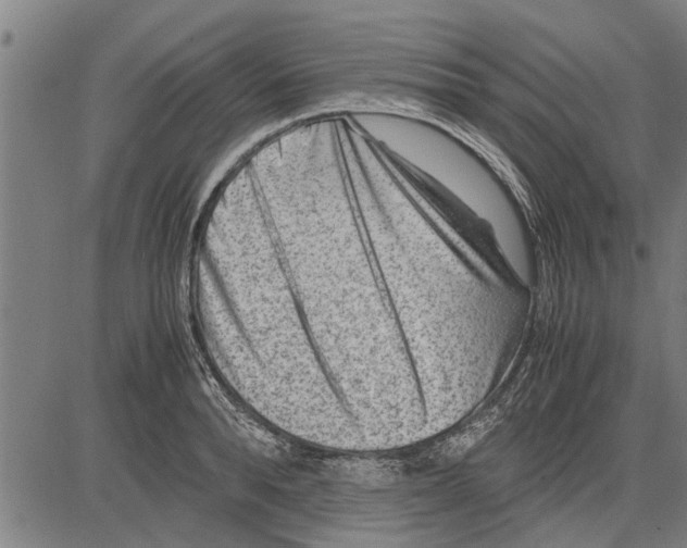 X0000081450896200702021739