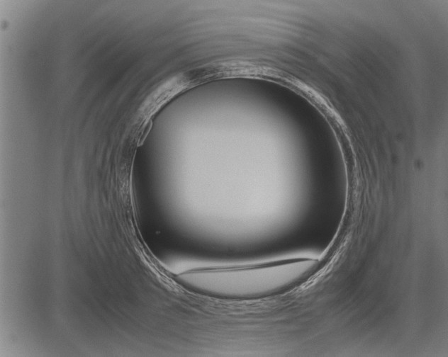 X0000081450897200702021739