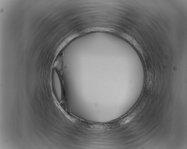 X0000081450898200702021739