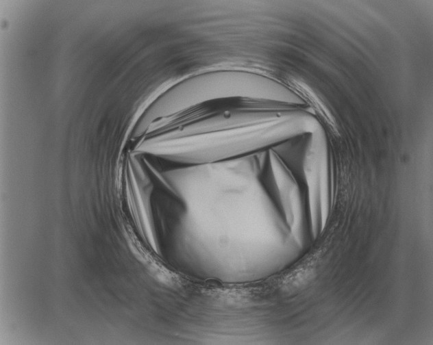 X0000081450900200702021739