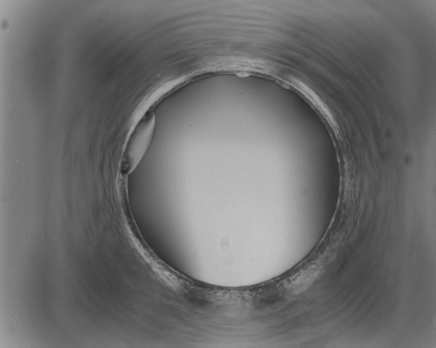 X0000081450901200702021739