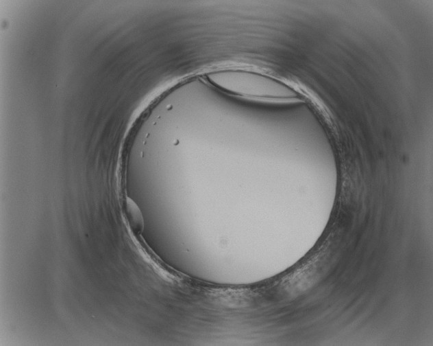 X0000081450902200702021739