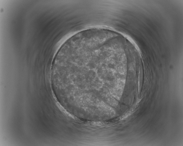 X0000081450903200702021739