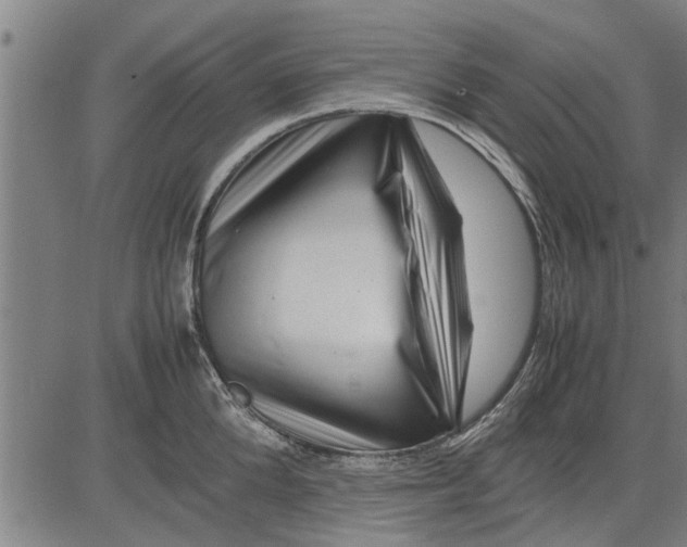 X0000081450904200702021739