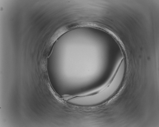 X0000081450905200702021739