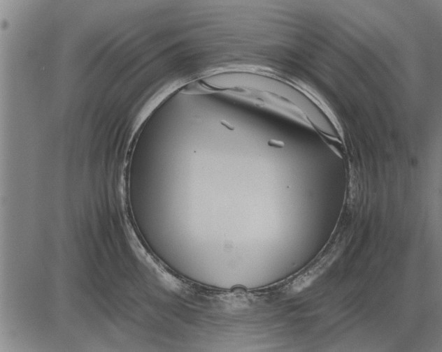 X0000081450906200702021739