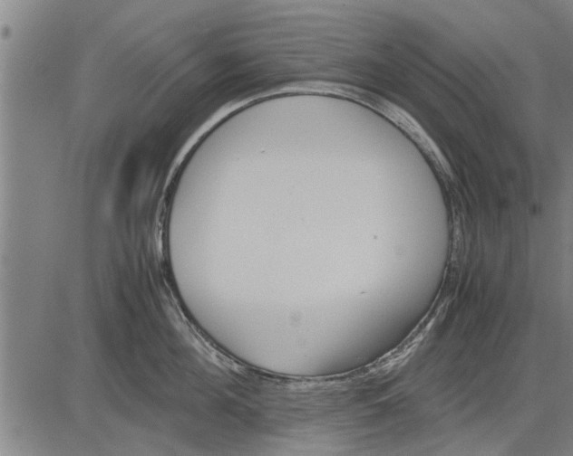 X0000081450908200702021739