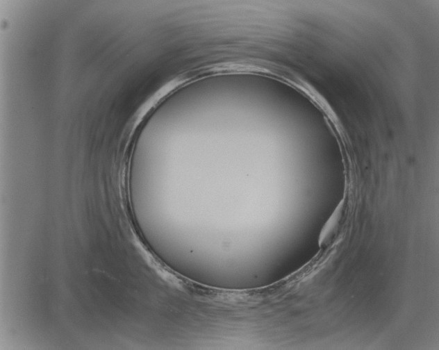 X0000081450909200702021739