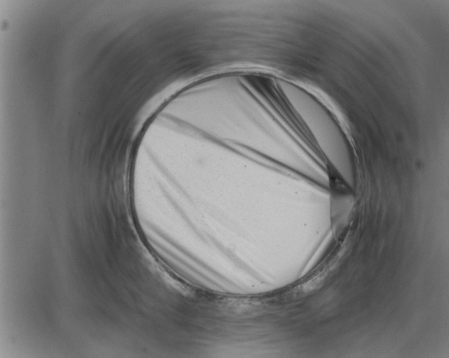 X0000081450910200702021739