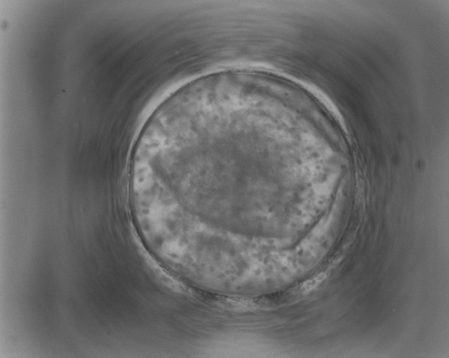 X0000081450911200702021739