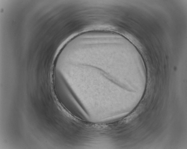 X0000081450912200702021739