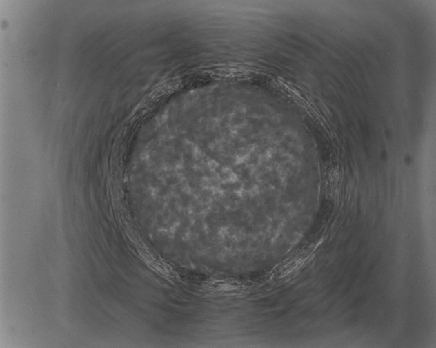 X0000081450913200702021738