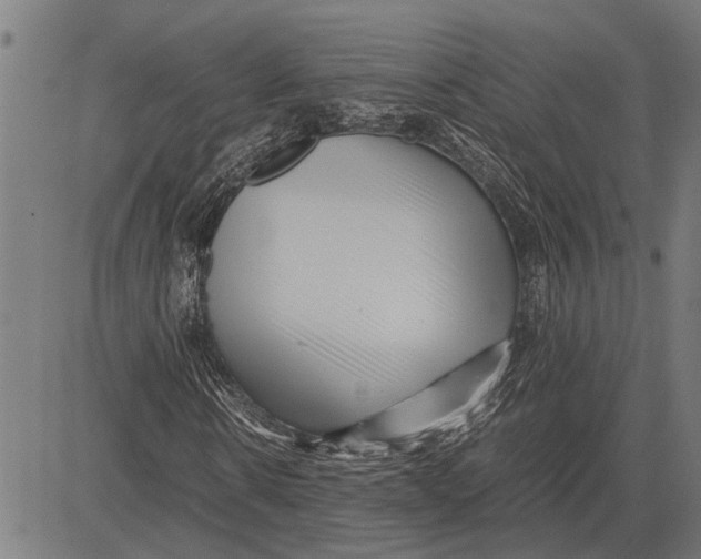 X0000081450914200702021738