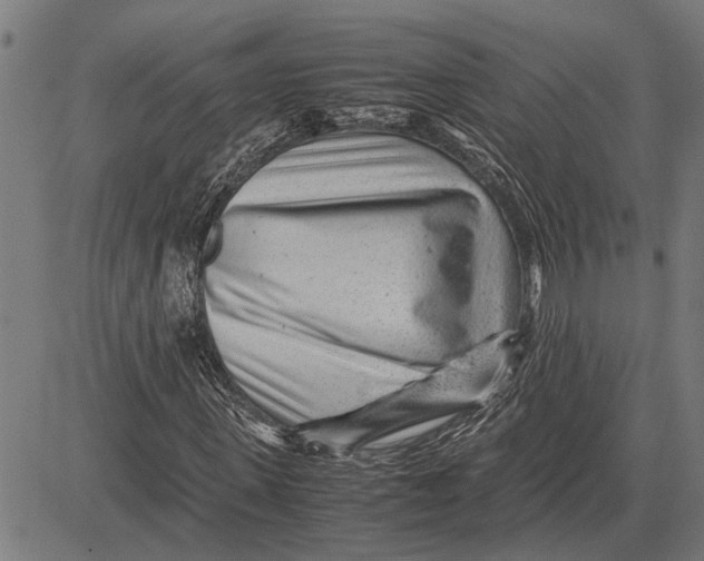 X0000081450915200702021738