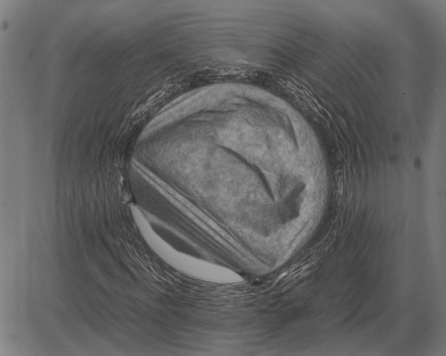 X0000081450916200702021738