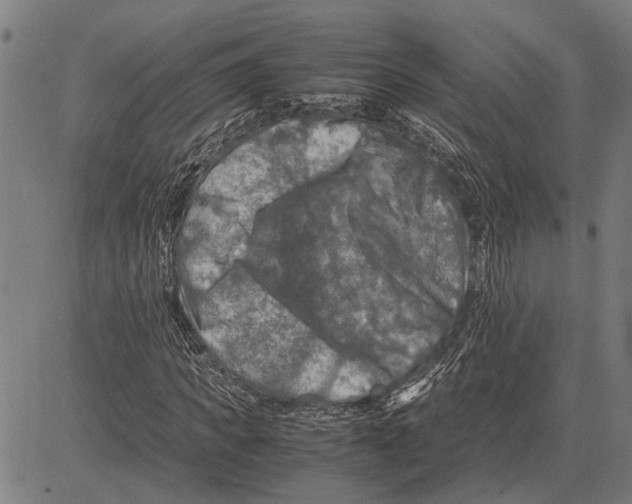 X0000081450917200702021738