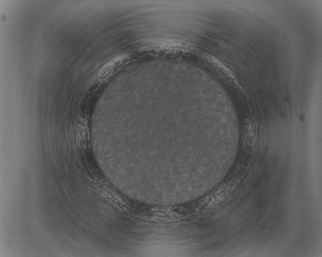 X0000081450918200702021738