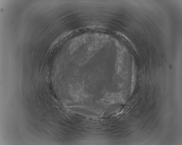 X0000081450919200702021738