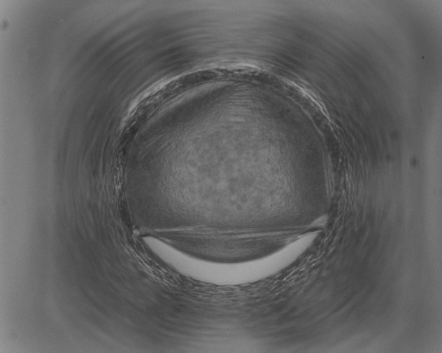 X0000081450920200702021738