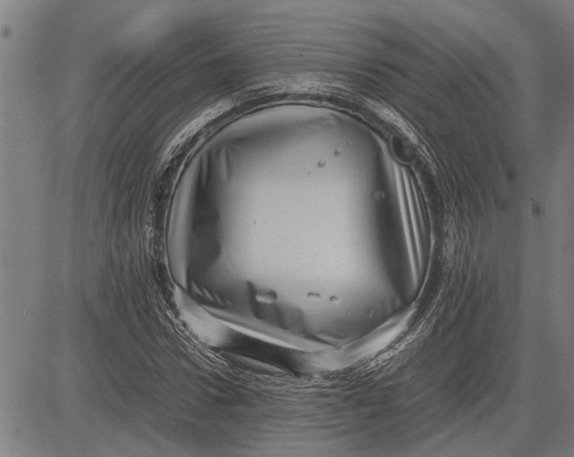 X0000081450922200702021738