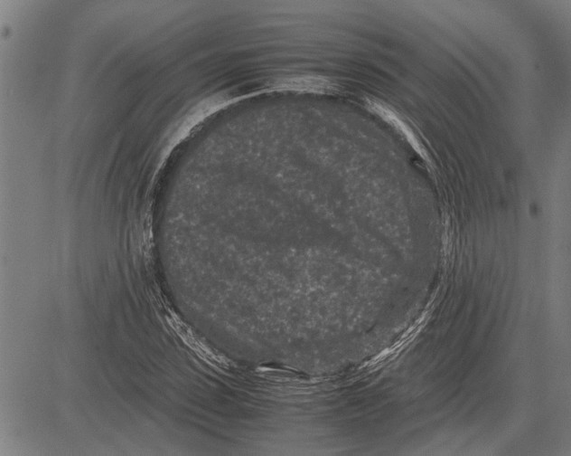 X0000081450923200702021738